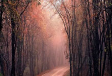 佛罗伦萨客场不敌尤文图斯，保级艰难