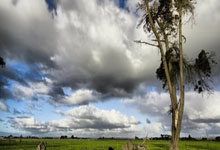 足坛风暴再起，焦点战即将开打