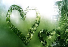 足坛风暴再起，焦点战即将开打