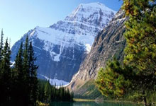 球场争锋：竞技激烈，球员们拼尽全力的每一刻