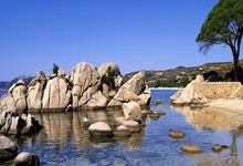 球场争锋：竞技激烈，球员们拼尽全力的每一刻