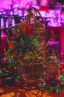 九游体育下载-中国体坛年度颁奖典礼群星闪耀，中国体坛风云人物典礼颁奖词  第2张