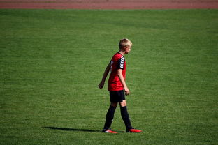 九游官网入口充值-国际排联调整赛制 新赛季竞争更激烈，国际排联最新排名  第2张